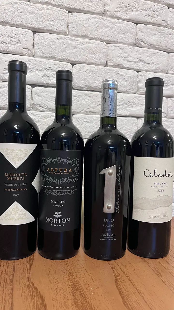 Vinhos Argentinos  - Foto 2
