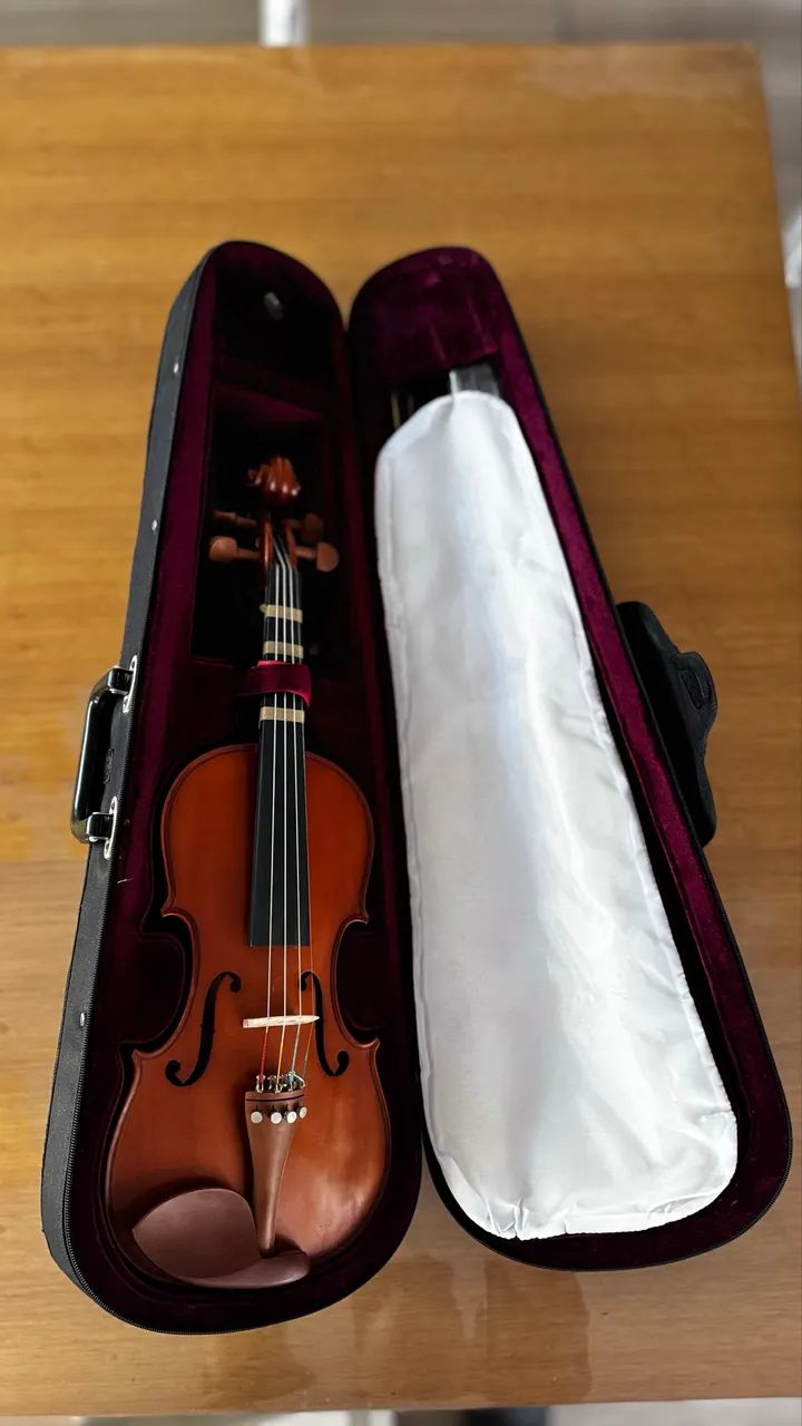 Violino Michael com case e acessórios  - Foto 3