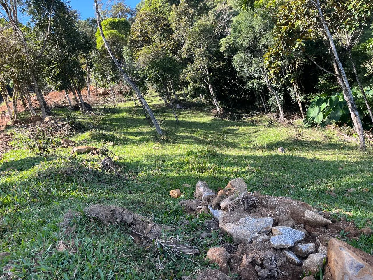 Sítio  São Bonif ácio  - Foto 2