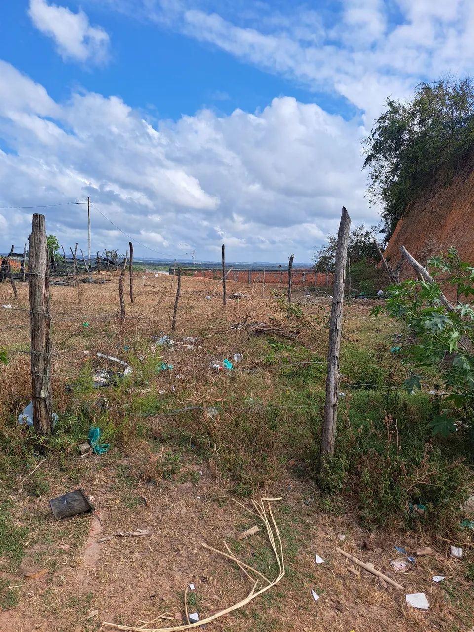 Vende se terreno na taicoca de dentro  - Foto 4