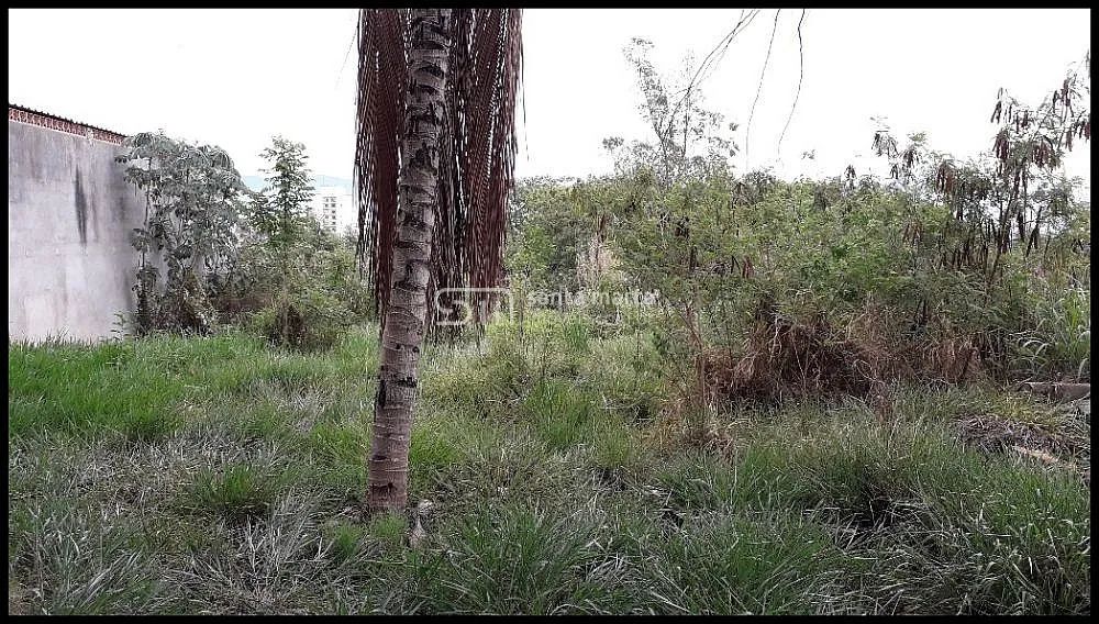 ÁREA PLANA JUNTO À VIA DUTRA E AO SHOPPING - LORENA - SP - Foto 5