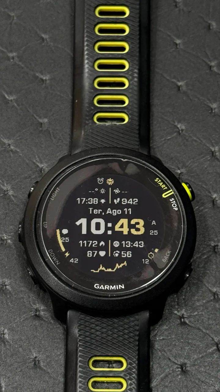 Garmin 55