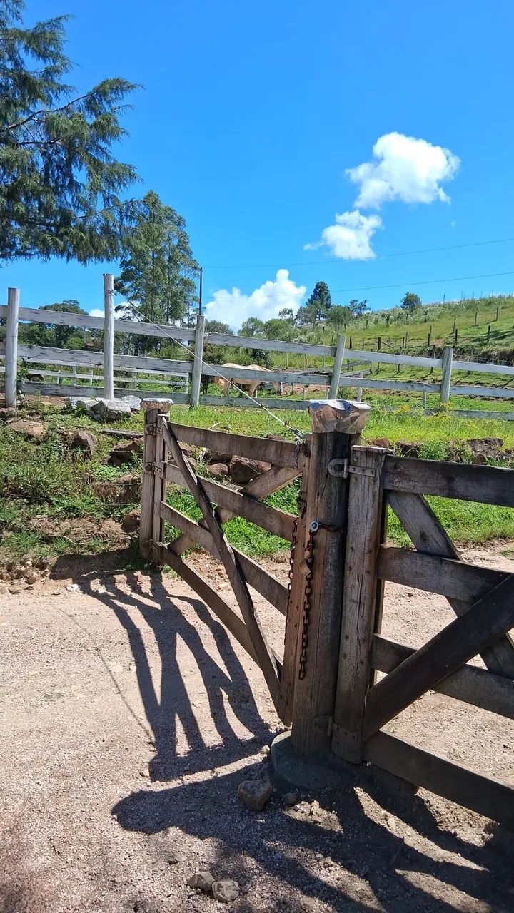 Procuro uma chácara para alugar.