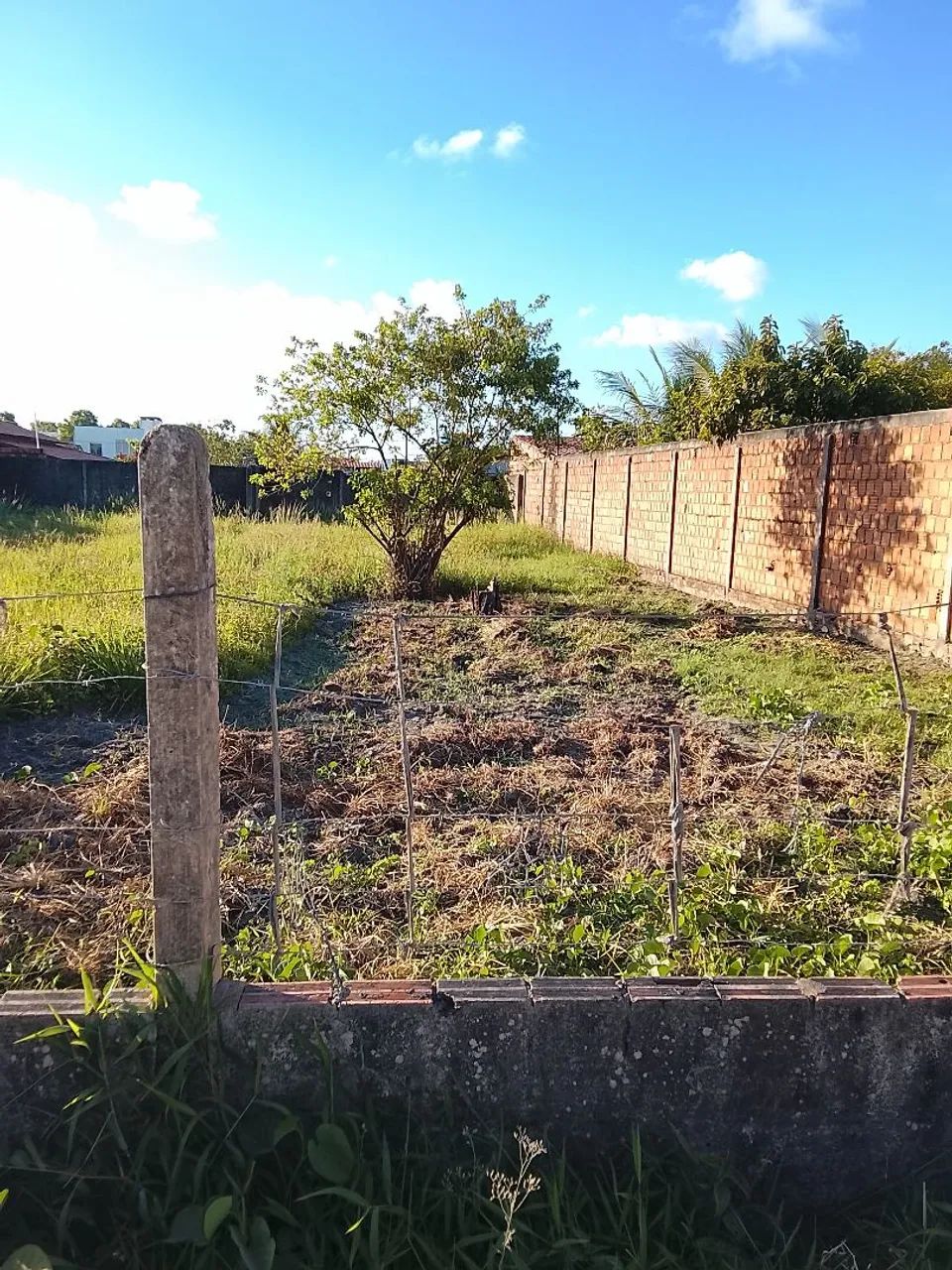 Terreno  - Foto 4