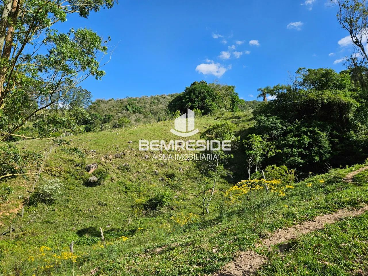 Terreno escriturado com mais de 65 hectares em Pedras Grandes - Foto 5