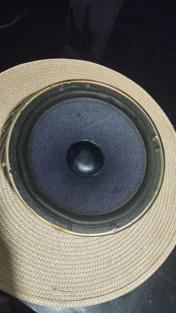 Alto-Falante Woofer Azul escuro da Gradiente Modelo Raro 8 Polegada 80W RMS R$:80 Reais - Foto 5