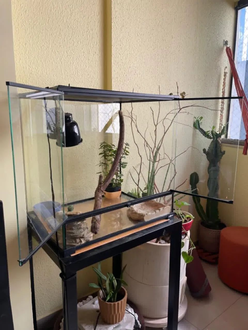 Terrario para reptil iguana - Foto 2