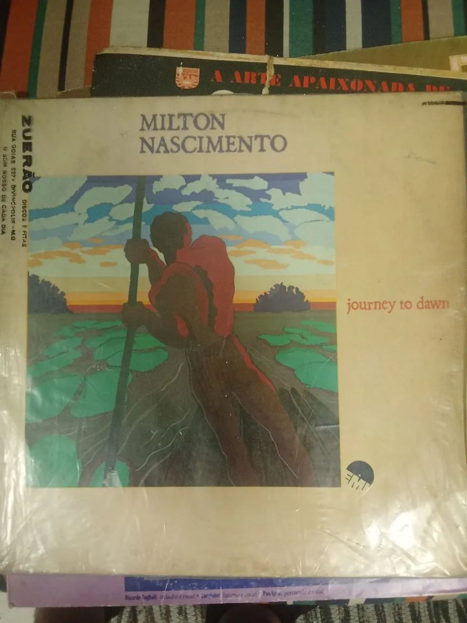 Vendo vinil - Foto 4
