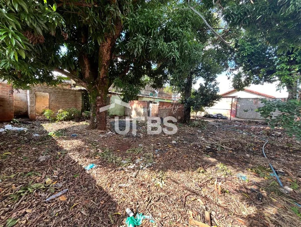 Lote Comercial - Foto 3