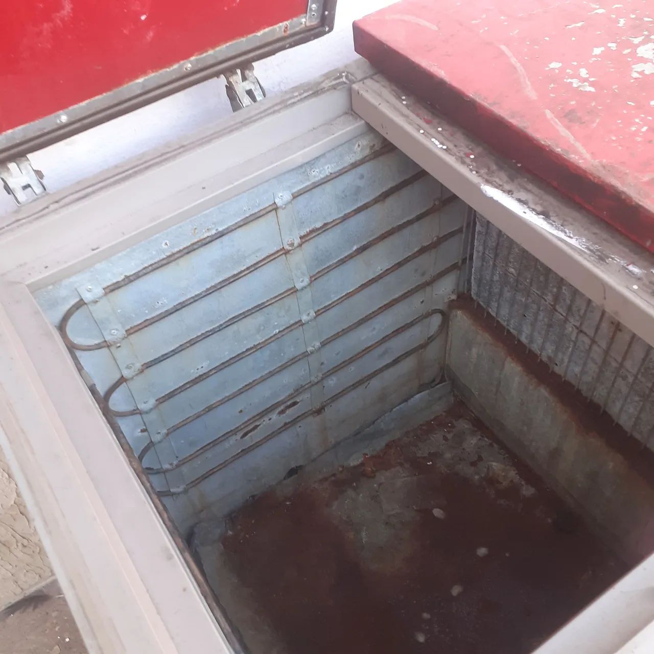 freezer prosdocimo - Foto 4