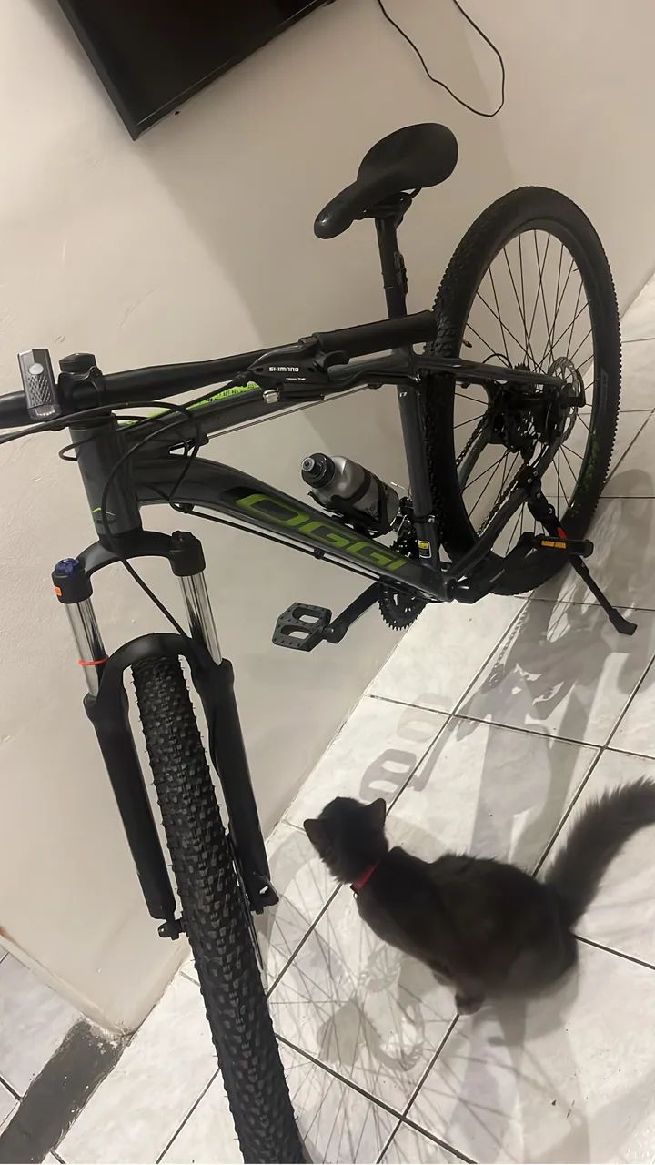 Bike Oggi - Foto 4