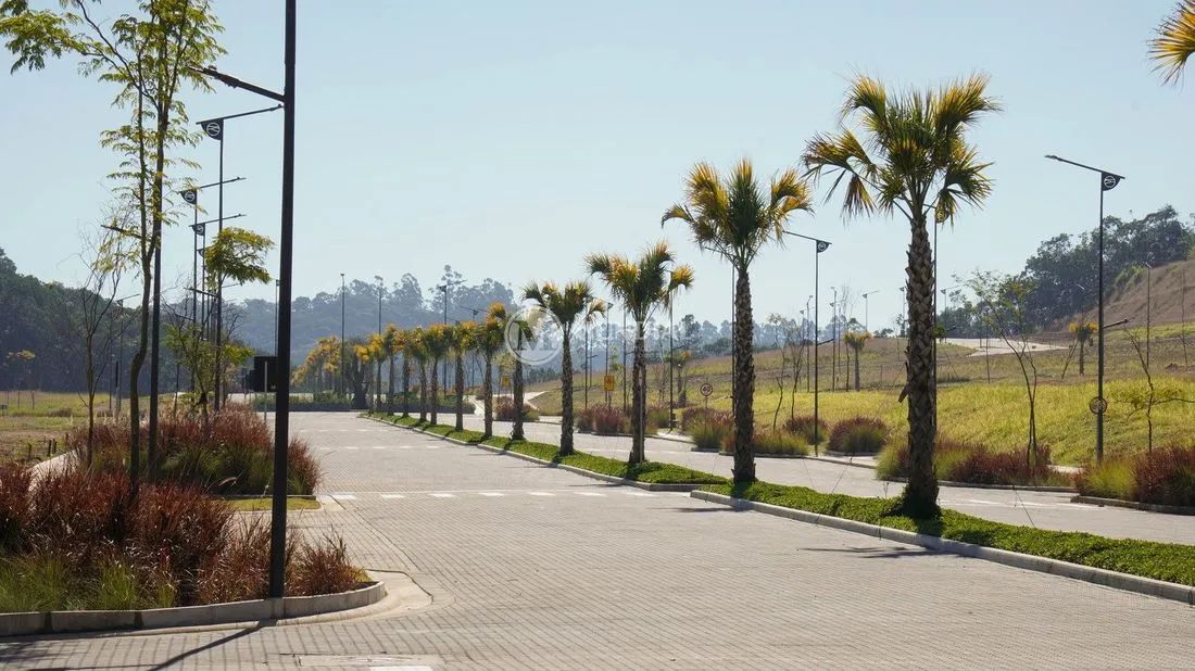 COLINAS DE CAMBORIÚ - Foto 4