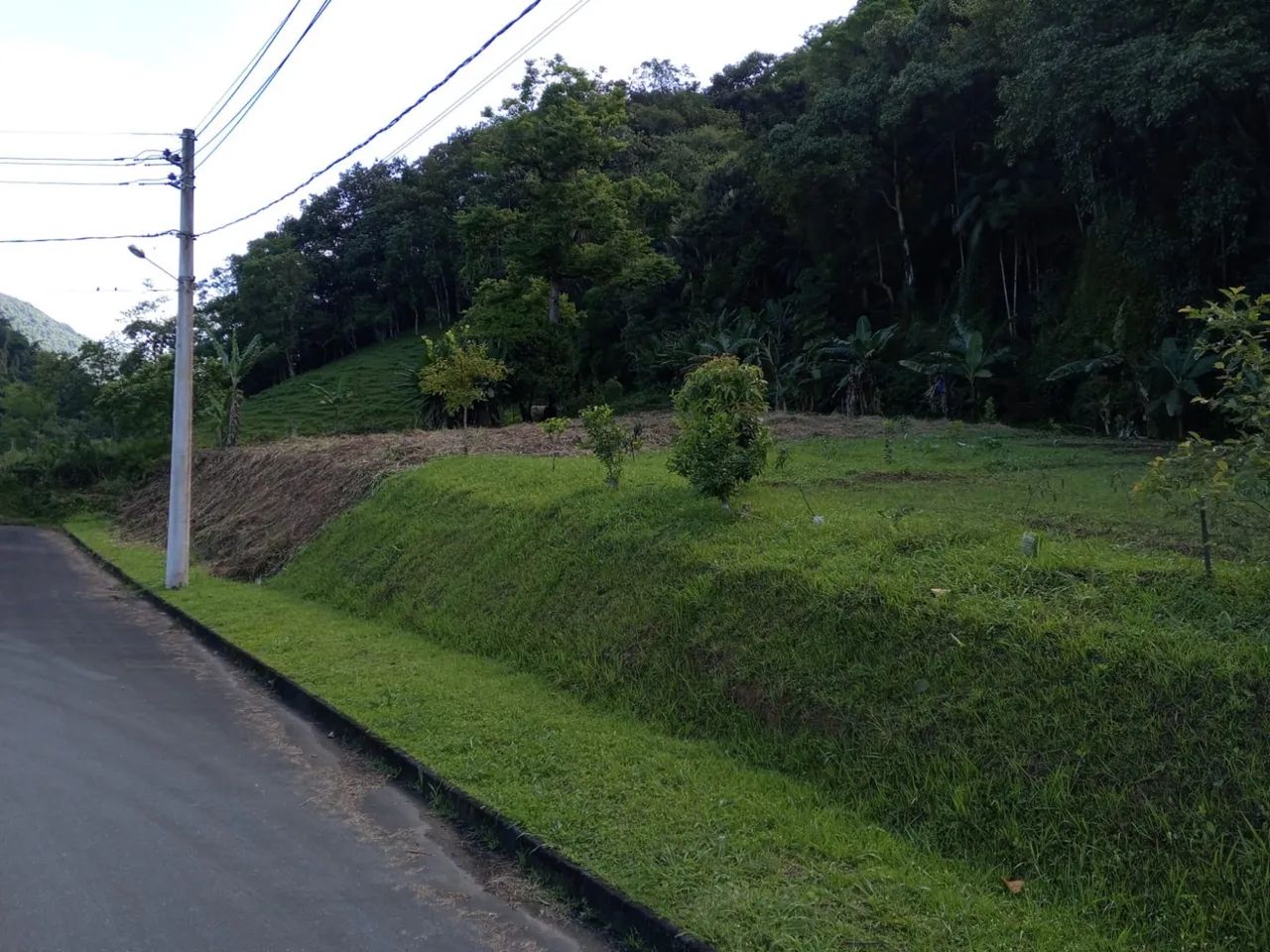 LOTES EM CONDOMÍNIO FECHADO - Foto 4