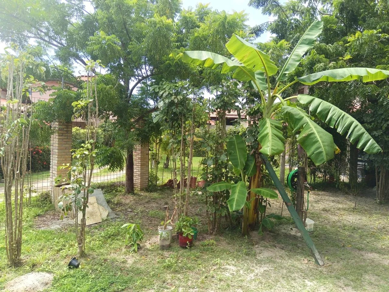 ALUGA-SE CASA EM PARACURU - CE  - Foto 5