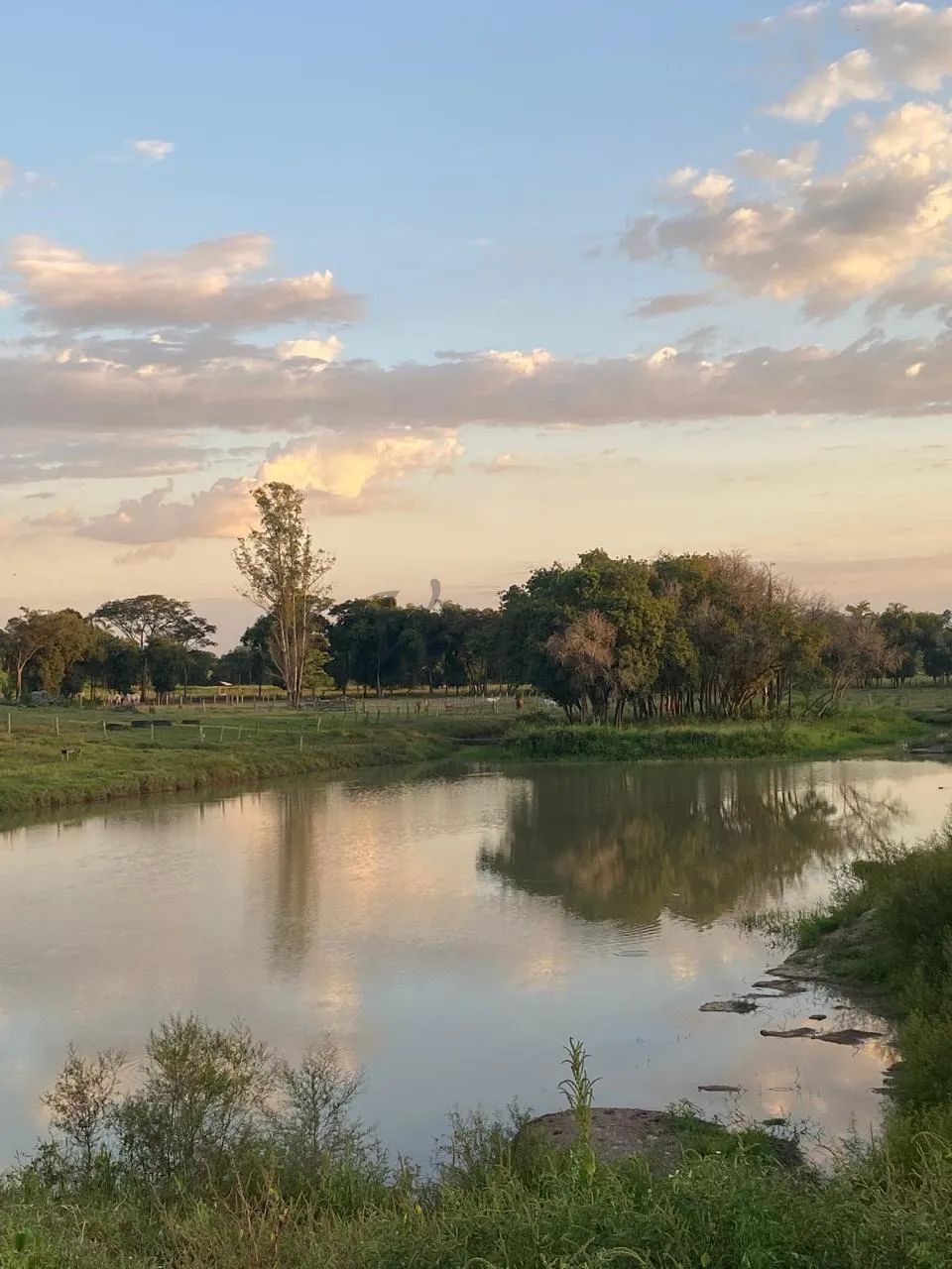 Fazenda Estilo Haras à Venda  Distrito de Ferraz  Rio Claro/SP - Foto 4