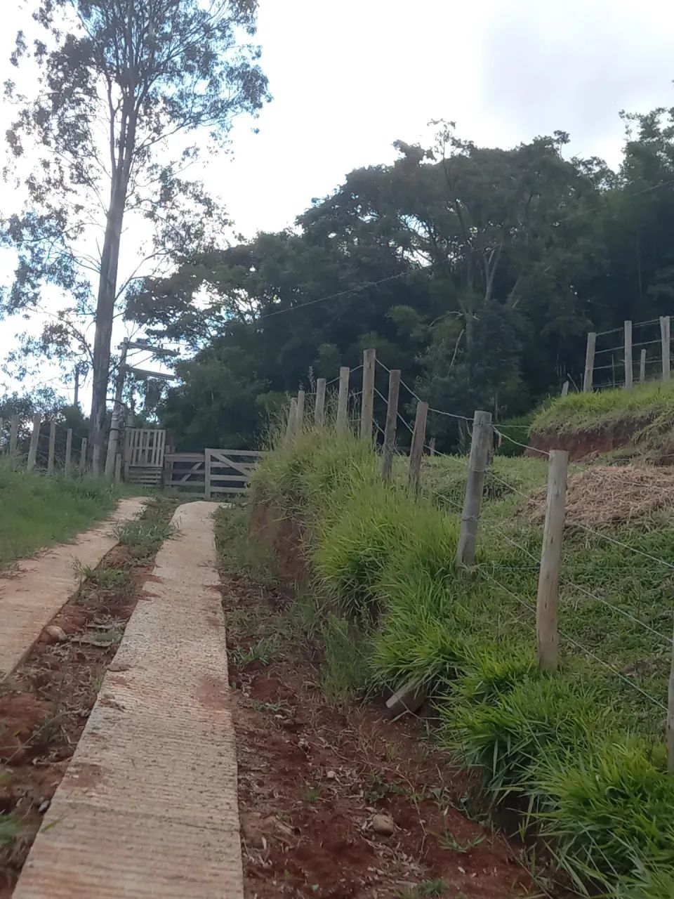 Casa de campo em Joanópolis - Foto 3
