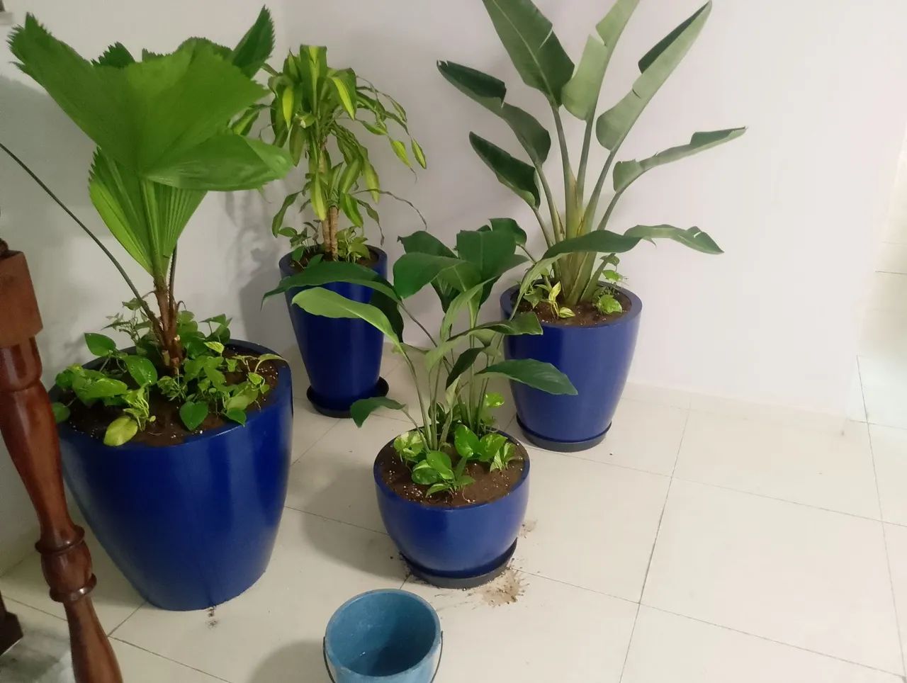 Jardineiro e paysagista