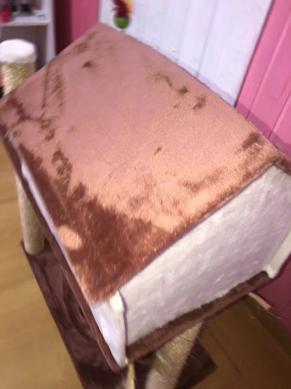 ?  / Arranhador para Gatos - NOVO! - Foto 6