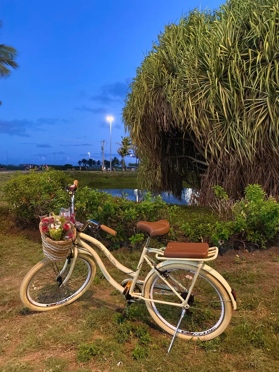 Bicicleta  - Foto 2