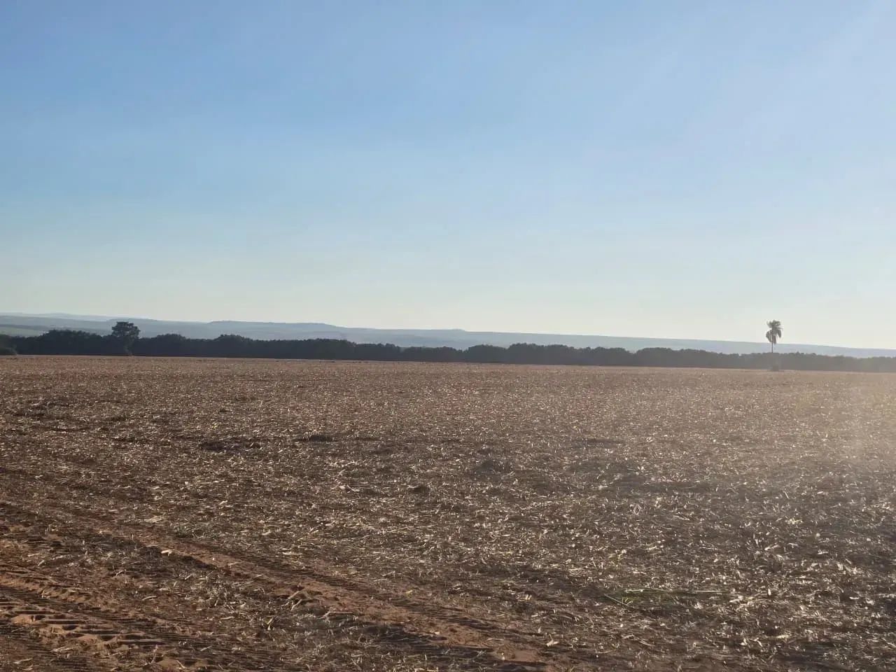 Fazenda a venda Santa Maria da Serra SP - Foto 3