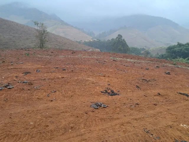 Sitio com 2,8 hectares  - Foto 5