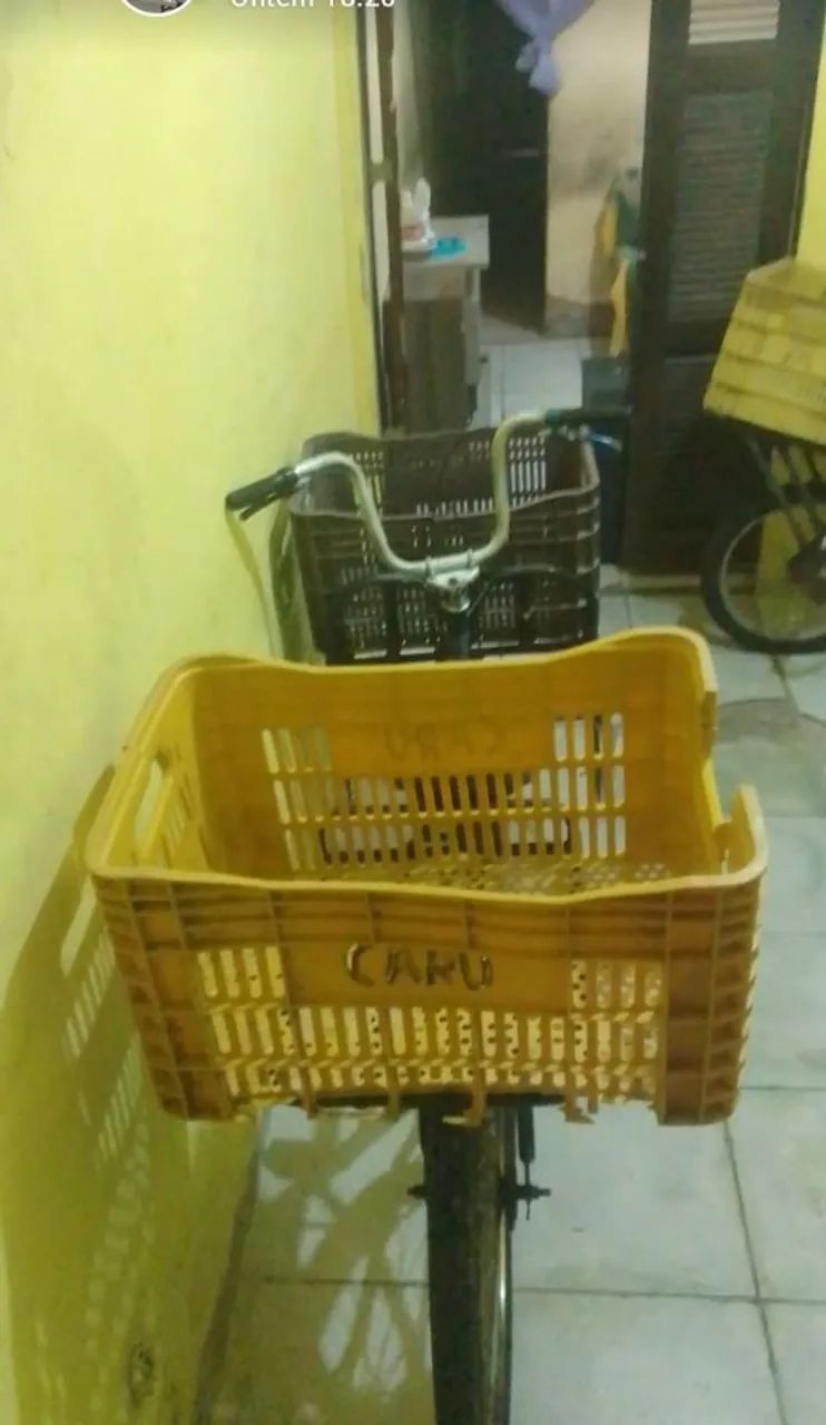 Bicicleta Cargueira - Foto 3