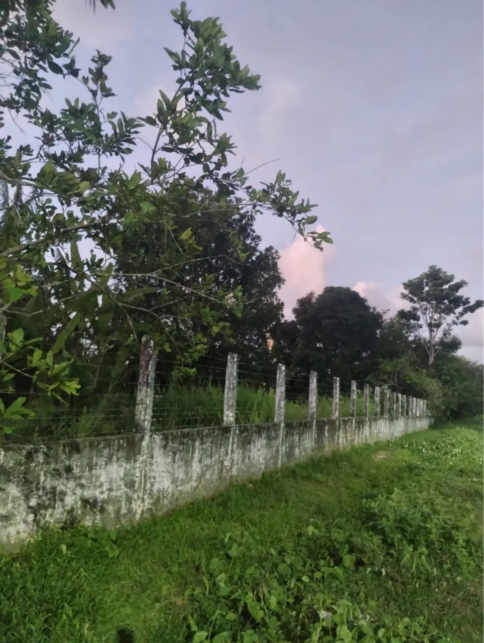 Foto - Aracaju - São Conrado