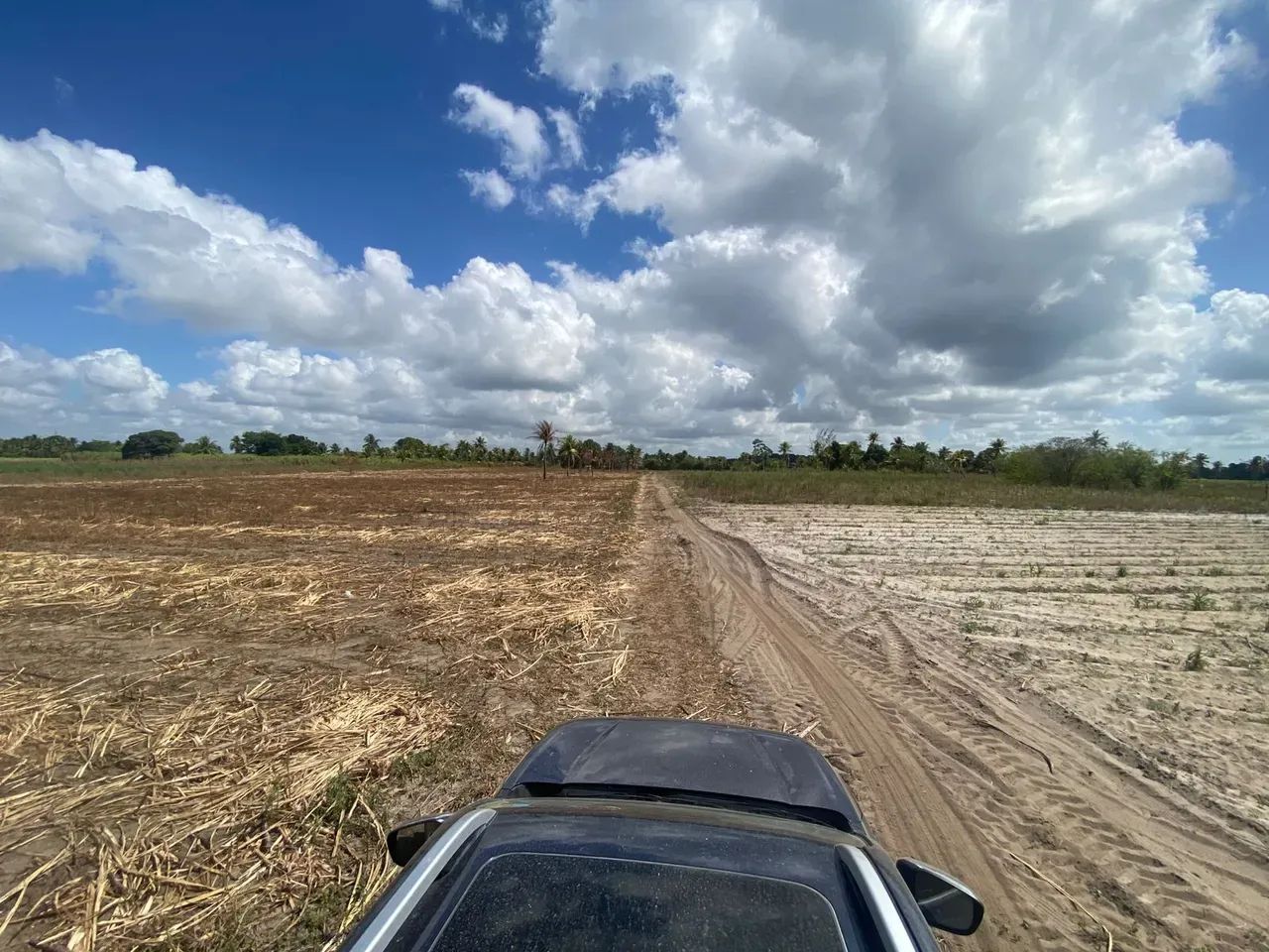 Excelente terreno Rural no Engenho Pitanga, em Igarassu, 4,5ha (123m X 366m) - Foto 3