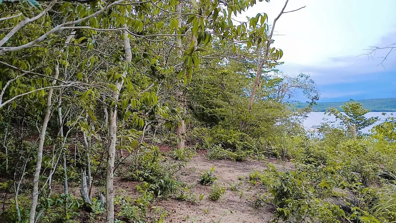 Chácara no lango  - Foto 2