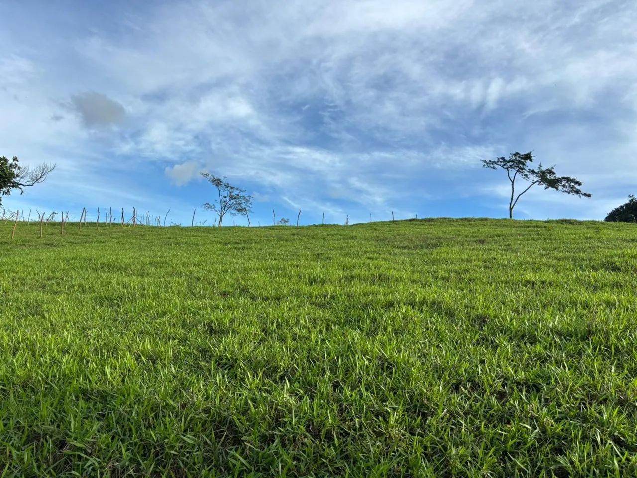 Terreno em Feira Nova de Orobó - PE - Foto 5