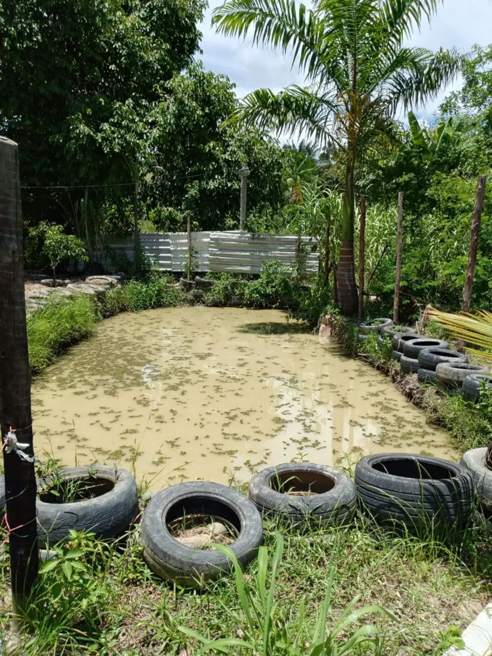 Vendo terreno no maruin - Foto 5