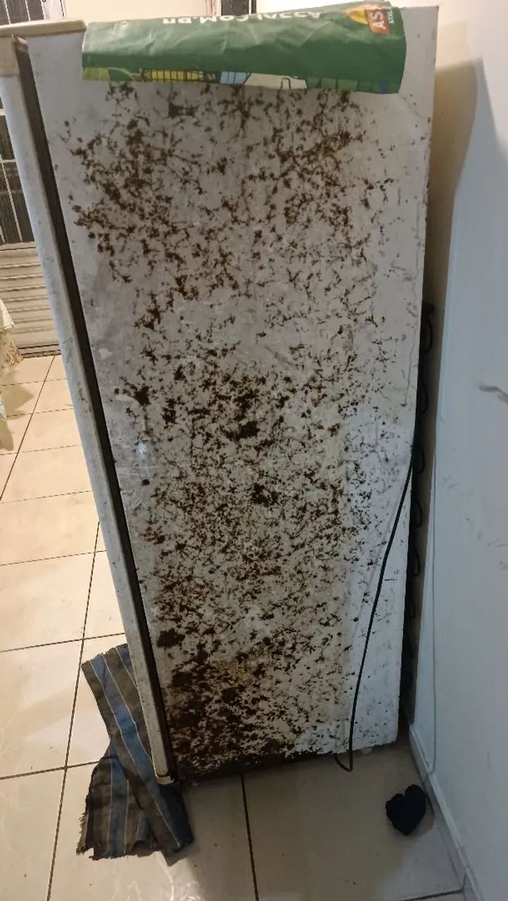 Geladeira feia e usada (gelando normal) - Foto 5