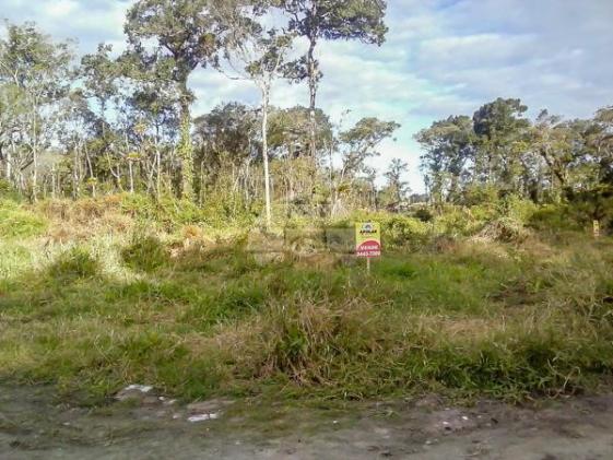 Terreno à venda em Cohapar, Guaratuba cod:125331