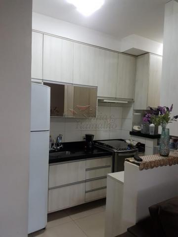 Apartamento para alugar com 3 dormitórios em Ipiranga, Ribeirao preto cod:L12436 - Foto 4