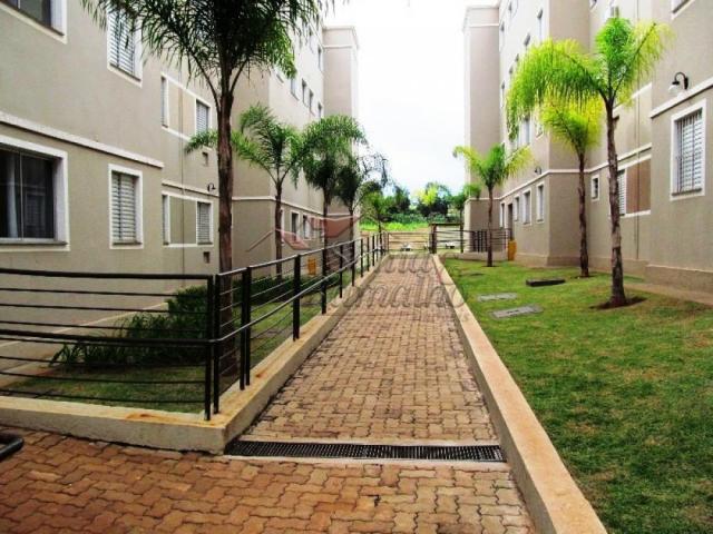 Apartamento para alugar com 2 dormitórios em Sumarezinho, Ribeirao preto cod:L3945 - Foto 19