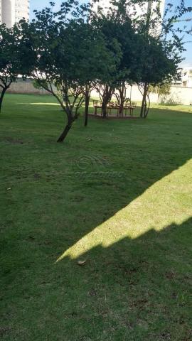 Apartamento para alugar com 2 dormitórios em Sumarezinho, Ribeirao preto cod:L2515 - Foto 13