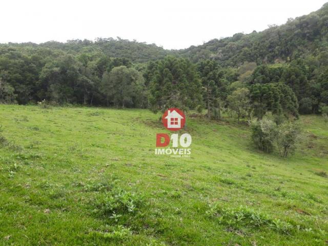 Terreno de 30 alqueires em ponte alta - sc - Foto 18