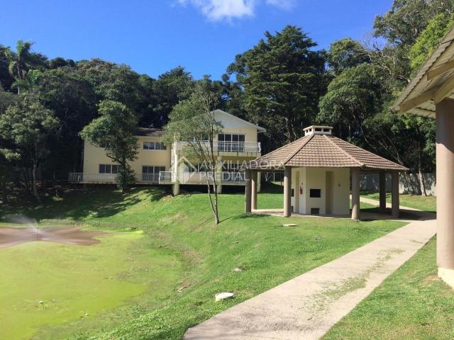 Apartamento para alugar com 2 dormitórios em São luiz, Canela cod:299218 - Foto 19