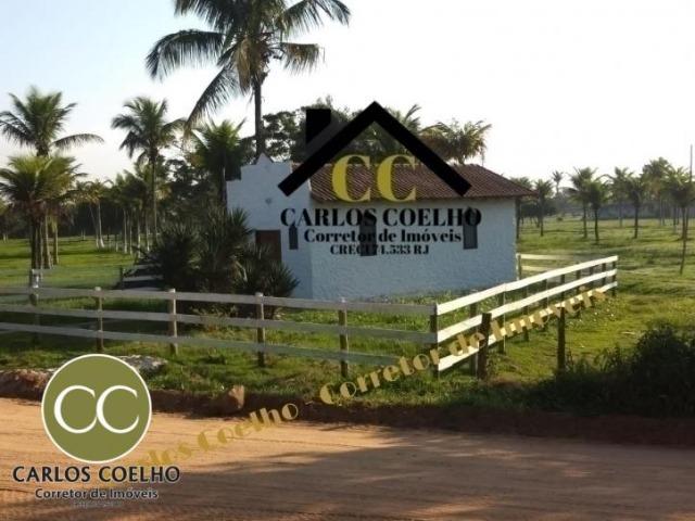 CMG Cód -138 Excelentes Terrenos Próximo ao Trevo de Búzios - Foto 6