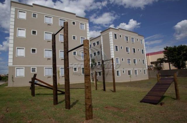 Apartamento para alugar com 2 dormitórios em Sumarezinho, Ribeirao preto cod:L2515 - Foto 9