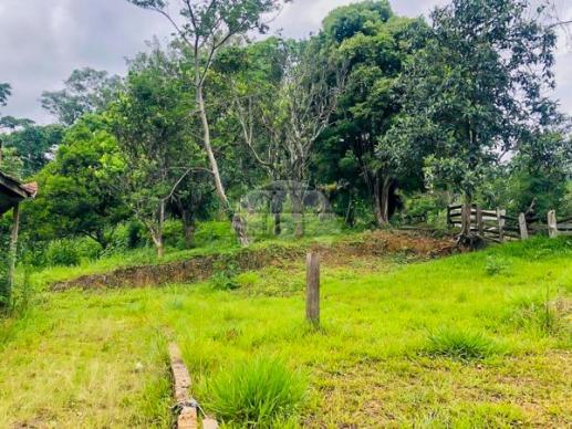 Sítio à venda em Centro, Rio branco do sul cod:155475 - Foto 9