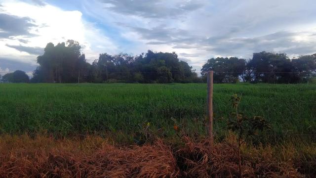 Fazenda terra de cultura município Tupaciguara - Foto 11