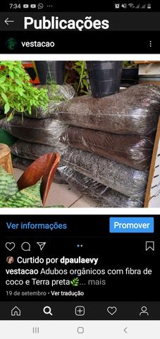 Estação verde: Plantas&Adubos - Foto 4
