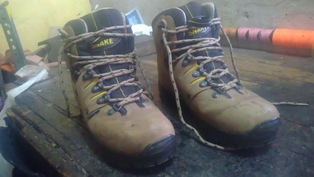 Bota snake
