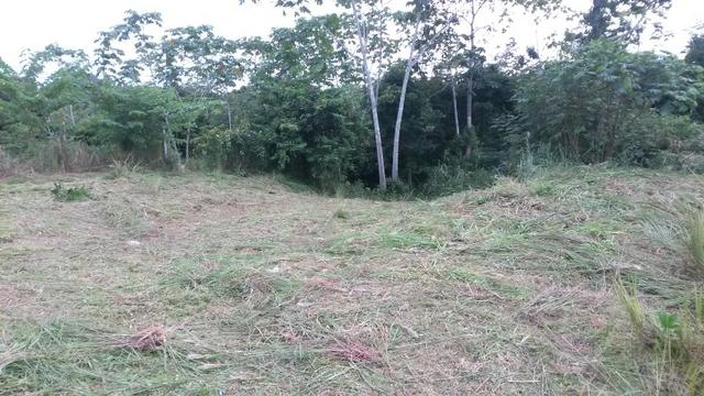 Terreno show - Foto 2