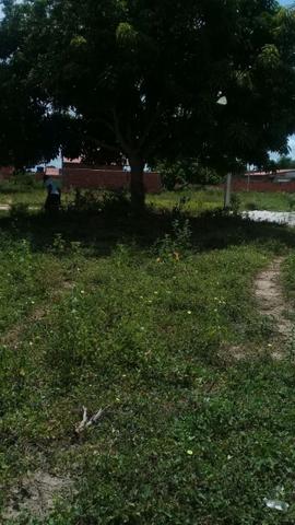 Terreno Em Berimbau - Foto 2