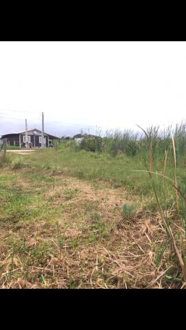 Terreno em Garopaba - Foto 2