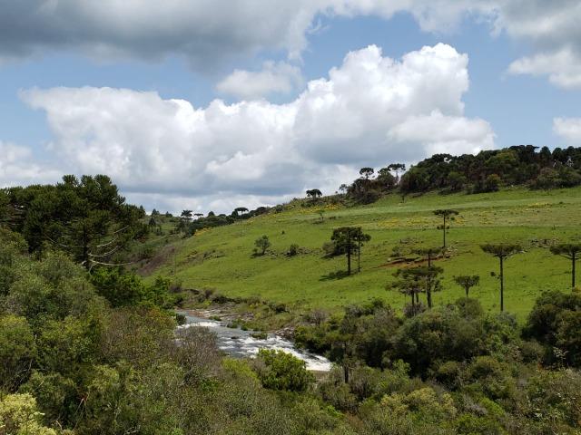 Exuberante Imóvel em Urupema com Rio - Foto 14