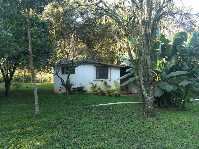 Chacarra a venda - Foto 3