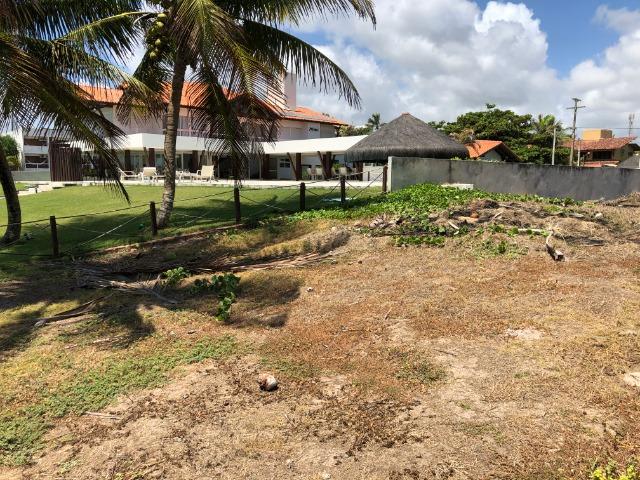 Excelente Lote 16X40 beira-mar, Porto de Galinhas Ipojuca/PE - Brasil - Foto 11